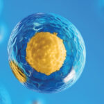 Exploring the Production of Insulin, Vaccines, and Monoclonal Antibodies